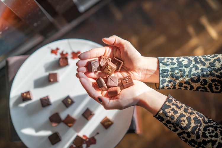 this picture shows toronto's ultimate chocolate tour